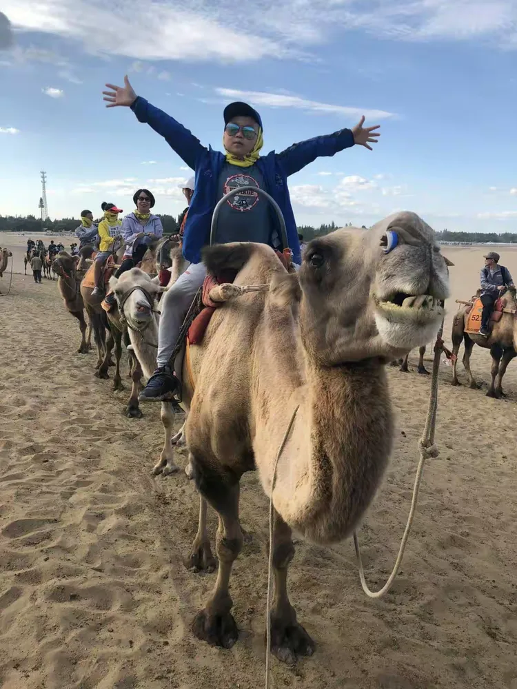 关于西北欧传奇引退，现场球迷悲戚为其奏哀曲的信息