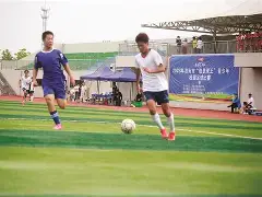 关于四面八方的观众为足球比赛现场应声鼓掌的信息